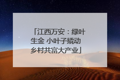 江西万安：绿叶生金 小叶子撬动乡村共富大产业