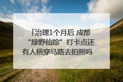 治理1个月后 成都“绿野仙踪”打卡点还有人横穿马路去拍照吗？｜民情瞭望