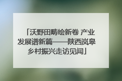 沃野田畴绘新卷 产业发展谱新篇——陕西岚皋乡村振兴走访见闻