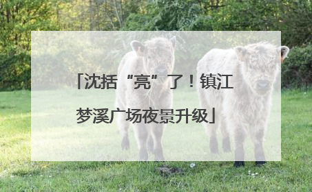 沈括“亮”了！镇江梦溪广场夜景升级
