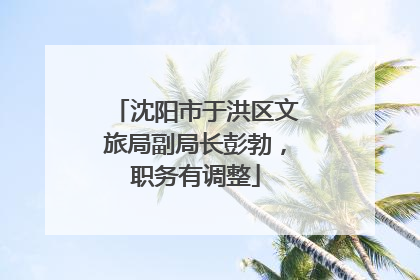沈阳市于洪区文旅局副局长彭勃，职务有调整