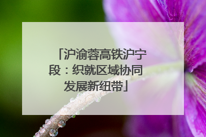 沪渝蓉高铁沪宁段：织就区域协同发展新纽带