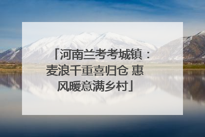 河南兰考考城镇：麦浪千重喜归仓 惠风暖意满乡村