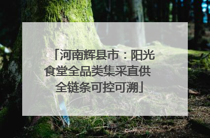 河南辉县市：阳光食堂全品类集采直供 全链条可控可溯