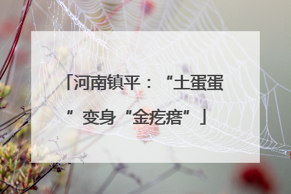 河南镇平：“土蛋蛋”变身“金疙瘩”