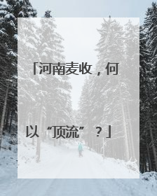 河南麦收，何以“顶流”？