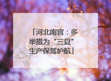 河北南宫：多举措为“三夏”生产保驾护航