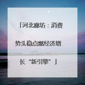 河北廊坊：消费势头稳点燃经济增长“新引擎”