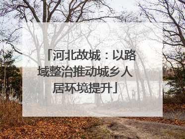 河北故城：以路域整治推动城乡人居环境提升