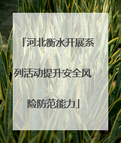 河北衡水开展系列活动提升安全风险防范能力