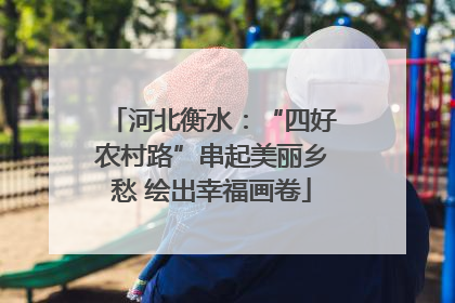 河北衡水：“四好农村路”串起美丽乡愁 绘出幸福画卷