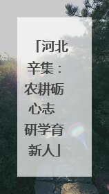 河北辛集：农耕砺心志 研学育新人