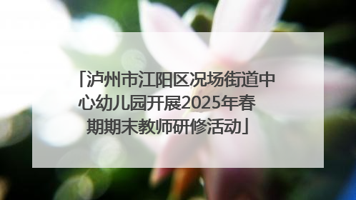 泸州市江阳区况场街道中心幼儿园开展2025年春期期末教师研修活动