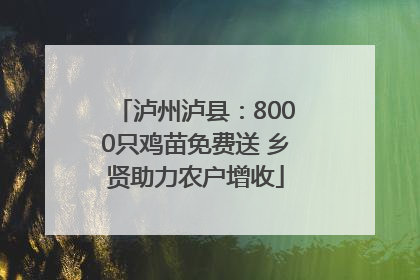 泸州泸县：8000只鸡苗免费送 乡贤助力农户增收