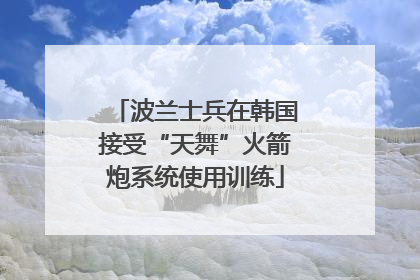 波兰士兵在韩国接受“天舞”火箭炮系统使用训练