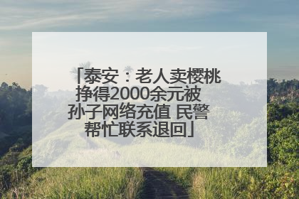 泰安：老人卖樱桃挣得2000余元被孙子网络充值 民警帮忙联系退回