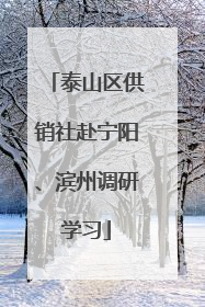 泰山区供销社赴宁阳、滨州调研学习