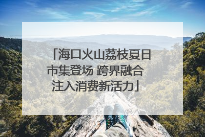 海口火山荔枝夏日市集登场 跨界融合注入消费新活力