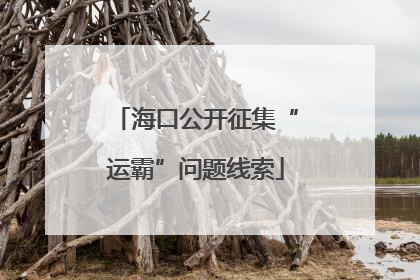 海口公开征集“运霸”问题线索