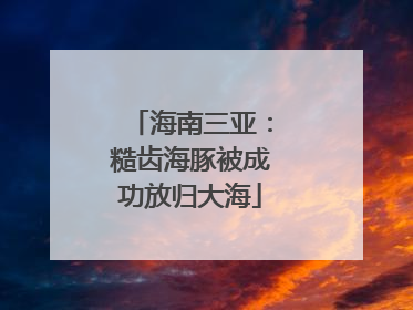 海南三亚：糙齿海豚被成功放归大海