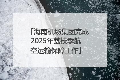 海南机场集团完成2025年荔枝季航空运输保障工作