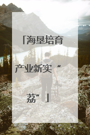 海垦培育产业新实“荔”