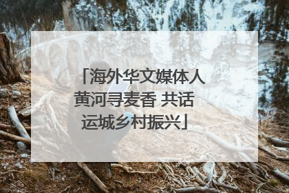 海外华文媒体人黄河寻麦香 共话运城乡村振兴