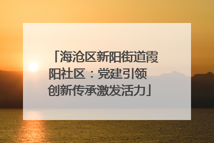 海沧区新阳街道霞阳社区：党建引领 创新传承激发活力