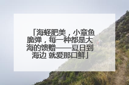 海蛏肥美，小章鱼脆弹，每一种都是大海的馈赠——夏日到海边 就爱那口鲜