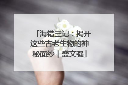 海错三记：揭开这些古老生物的神秘面纱｜盛文强