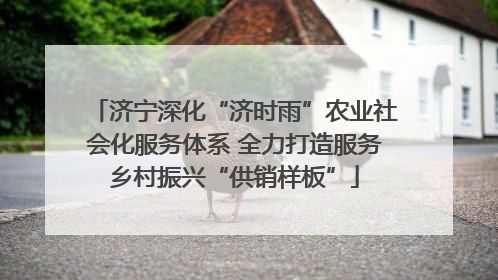 济宁深化“济时雨”农业社会化服务体系 全力打造服务乡村振兴“供销样板”