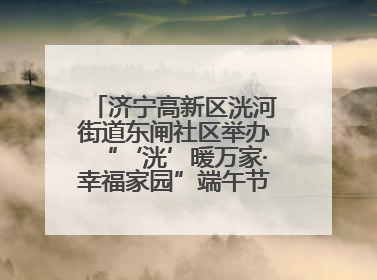 济宁高新区洸河街道东闸社区举办“‘洸’暖万家·幸福家园”端午节幸福集市活动