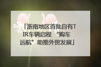 浙南地区首批自有TIR车辆启程 “购车远航”助推外贸发展