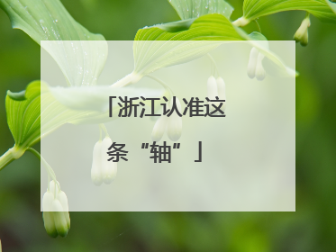 浙江认准这条“轴”