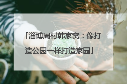 淄博周村韩家窝：像打造公园一样打造家园