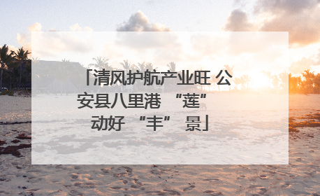清风护航产业旺 公安县八里港 “莲” 动好 “丰” 景