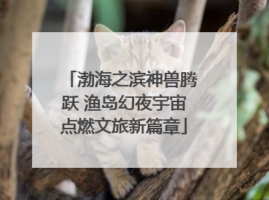 渤海之滨神兽腾跃 渔岛幻夜宇宙点燃文旅新篇章