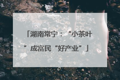 湖南常宁：“小茶叶”成富民“好产业”