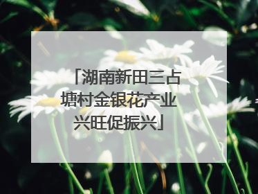 湖南新田三占塘村金银花产业兴旺促振兴