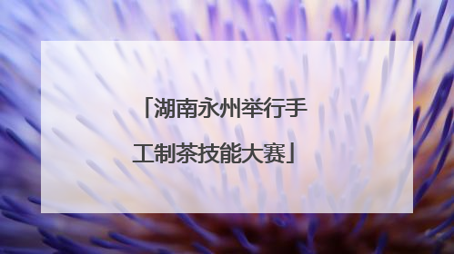湖南永州举行手工制茶技能大赛