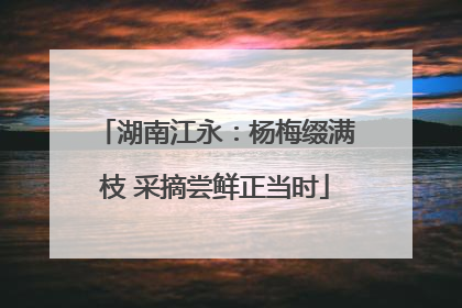 湖南江永：杨梅缀满枝 采摘尝鲜正当时