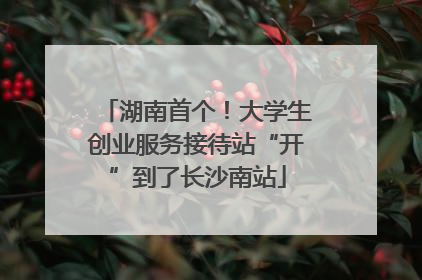 湖南首个！大学生创业服务接待站“开”到了长沙南站