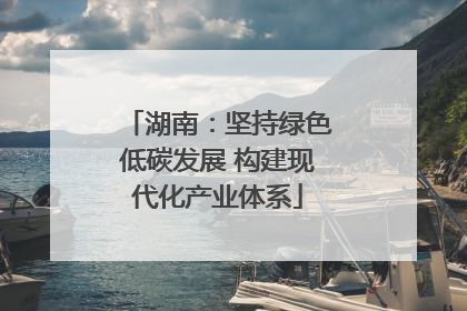 湖南：坚持绿色低碳发展 构建现代化产业体系