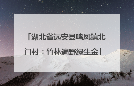 湖北省远安县鸣凤镇北门村：竹林遍野绿生金