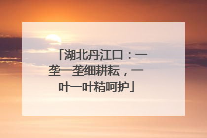 湖北丹江口：一垄一垄细耕耘，一叶一叶精呵护