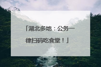 湖北多地：公务一律扫码吃食堂！
