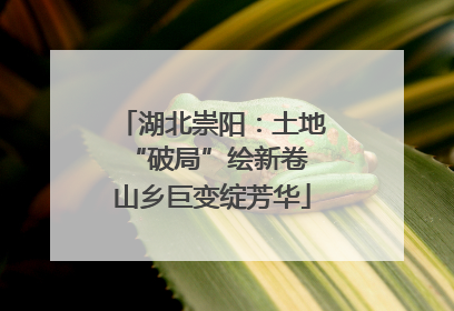湖北崇阳：土地“破局”绘新卷 山乡巨变绽芳华