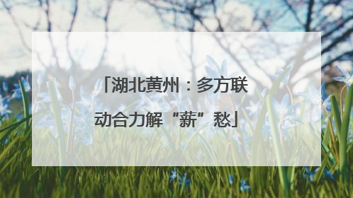 湖北黄州：多方联动合力解“薪”愁