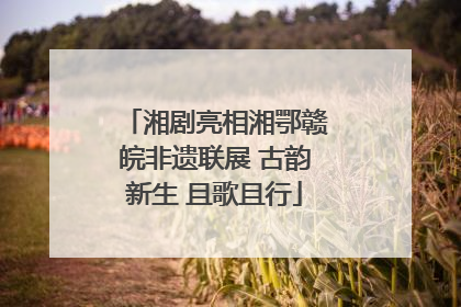 湘剧亮相湘鄂赣皖非遗联展 古韵新生 且歌且行