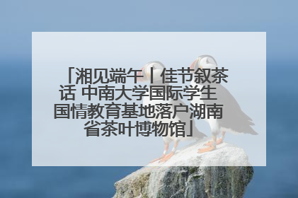 湘见端午丨佳节叙茶话 中南大学国际学生国情教育基地落户湖南省茶叶博物馆